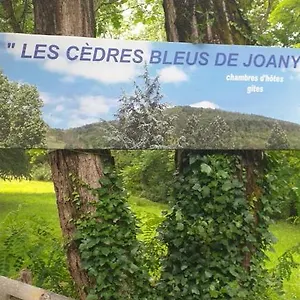 Les Cedres Bleus De Joany , Viviez Frankreich
